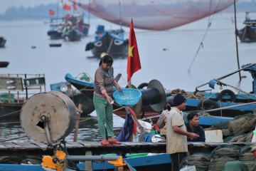 Sepet sepet balıklar, Duy Hai