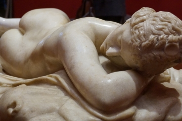 Hermafrodit