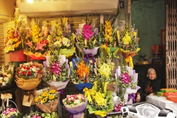 Çiçekçi kadın, Hanoi