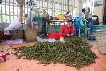 Phu Quoc biberi işletmesi